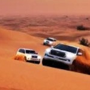 Profile picture of Best Tour Dubai