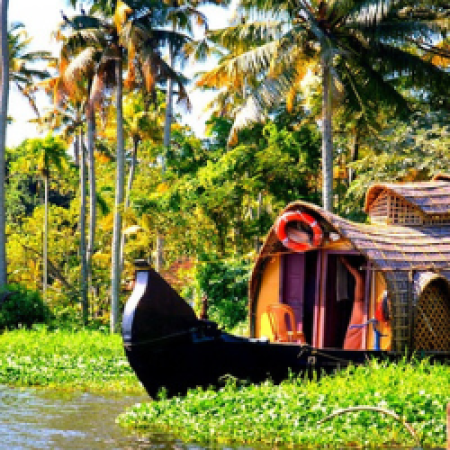 Profile picture of webdesigncompanyinkerala