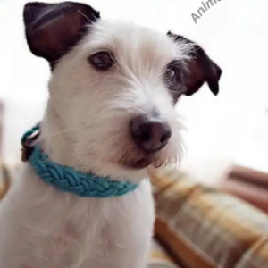 Profile picture of Jacky Khan