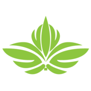 Profile picture of health