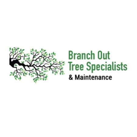 Profile picture of Branch Out Tree Specialist