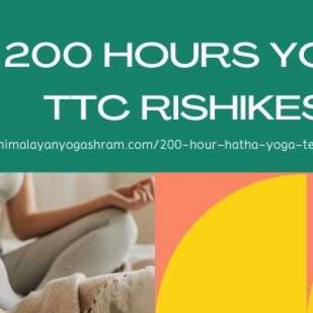 Profile picture of Vineet Bhatt