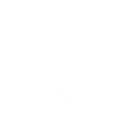Profile picture of Valves Only (Priyanka)