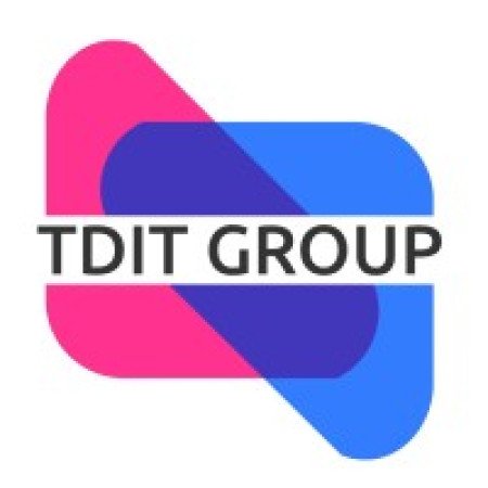 Profile picture of The TDIT Group