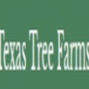 Profile picture of Garden Center