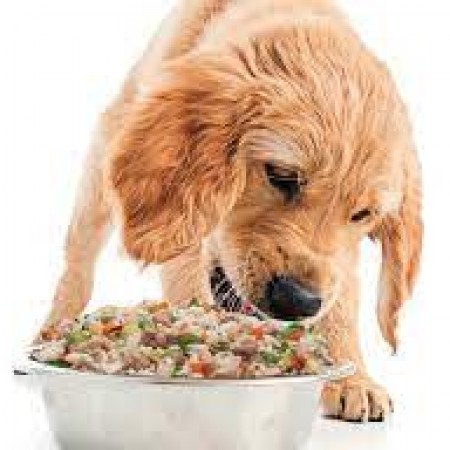 Profile picture of PetPlate