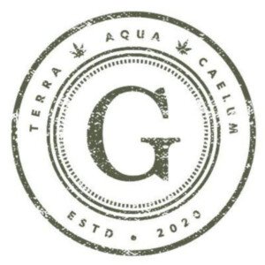 Profile picture of Genetica
