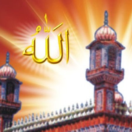 Profile picture of Adam