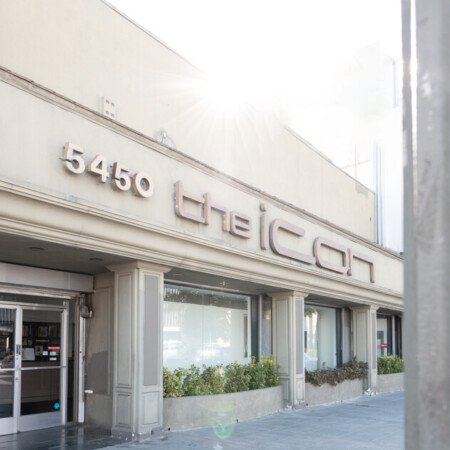 Profile picture of michelle