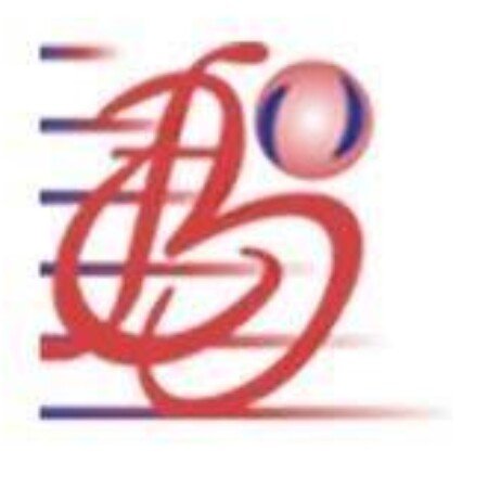 Profile picture of BFC Capital