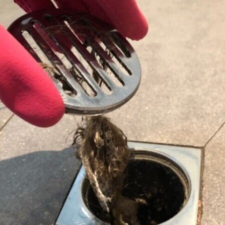 Profile picture of Renoline