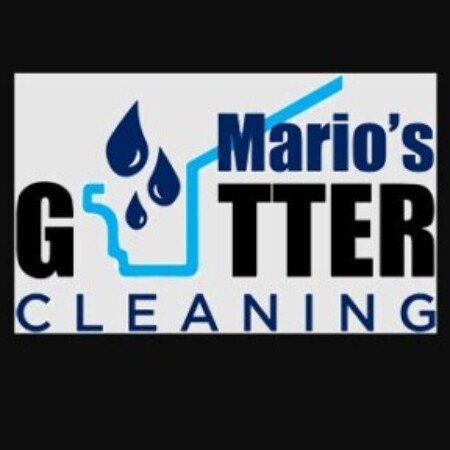Profile picture of Mario's Gutter Cleaning
