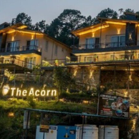 Profile picture of Cozy Acron