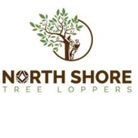 Profile picture of North Shore Tree Loppers