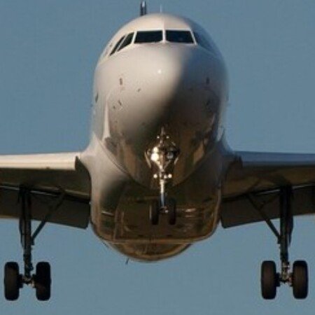 Profile picture of hazelramos