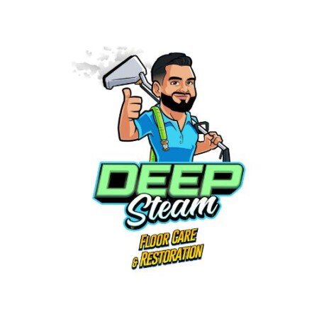 Profile picture of Deep steam floor care & restoration