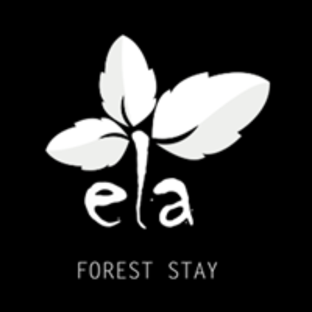 Profile picture of Anshika Sharma