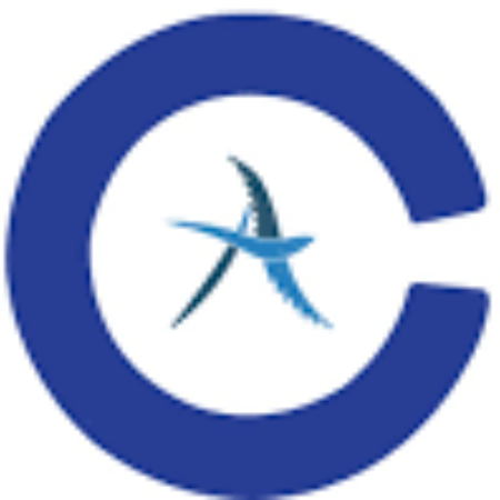 Profile picture of Conceptual Anesthesia