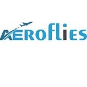 Profile picture of Aeroflies