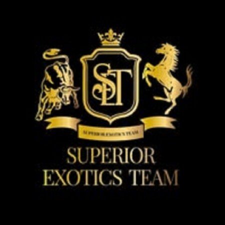 Profile picture of Set Motor Sports