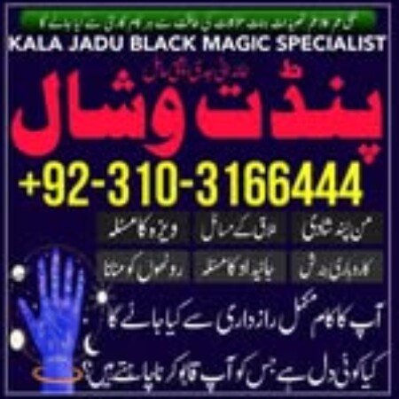 Profile picture of Amil Baba