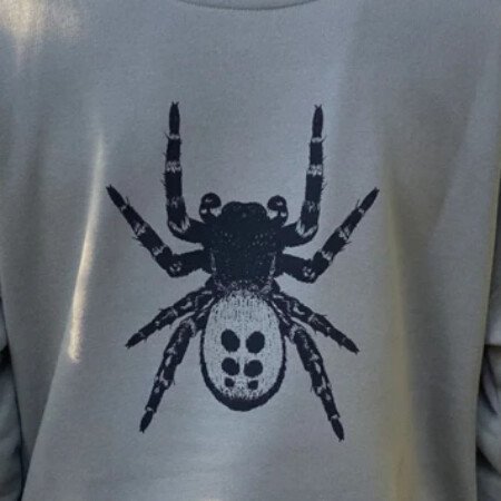 Profile picture of Spider Hoodie