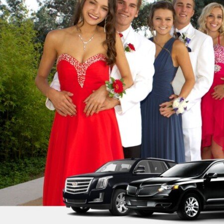 Profile picture of Brooklyn Limo Party Packages