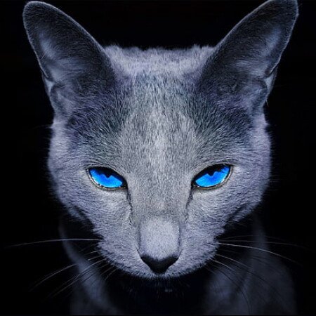 Profile picture of Zachary Fincham