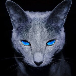 Profile picture of Zachary Fincham