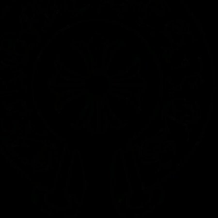 Profile picture of chrome hearts