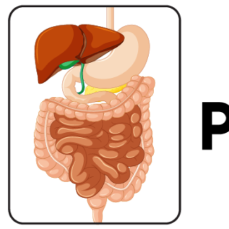 Profile picture of Dr. Nidhi Rawal