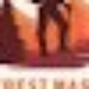 Profile picture of everestmasala