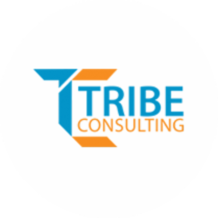 Profile picture of Tribe Consulting