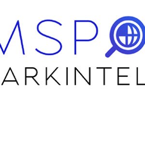 Profile picture of MSPDarkIntel