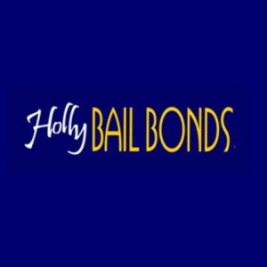 Profile picture of Holly Bail Bonds
