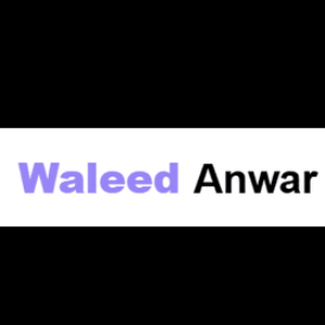 Profile picture of Waleed Anwar