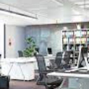 Profile picture of daisy