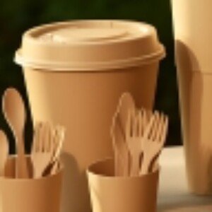 Profile picture of Khaana packaging