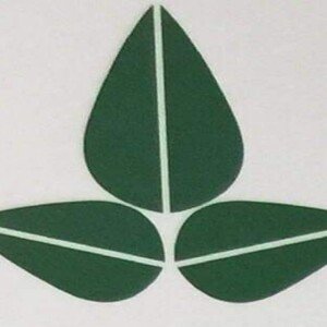 Profile picture of Seceon-Inc