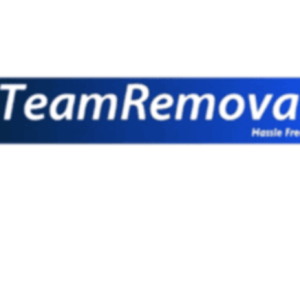 Profile picture of teamremovals