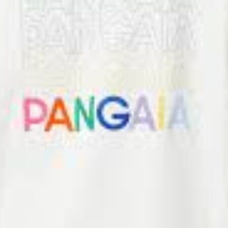 Profile picture of Pangaia Hoodie