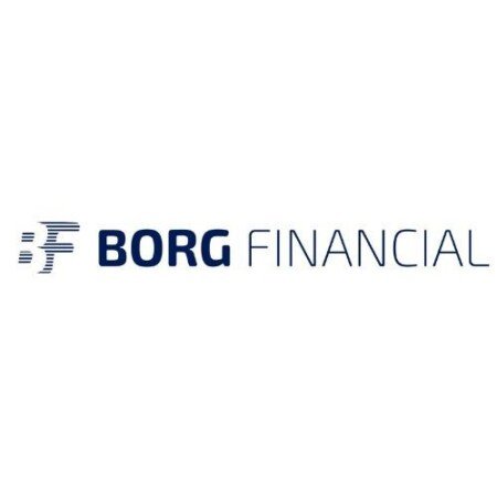Profile picture of Borg Financial