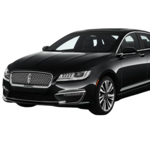 Profile picture of Car Bros