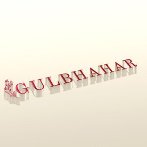Profile picture of gulbhahar