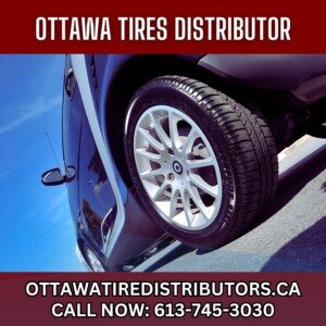 Profile picture of Winter Tires Ottawa