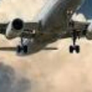 Profile picture of alfiesmith