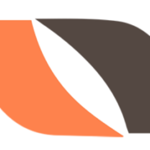 Profile picture of Network Kings