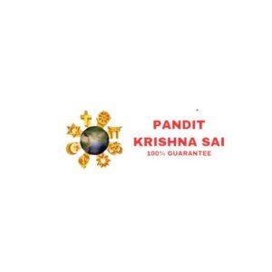 Profile picture of Pandit Krishna Sai
