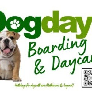 Profile picture of Dog dayz