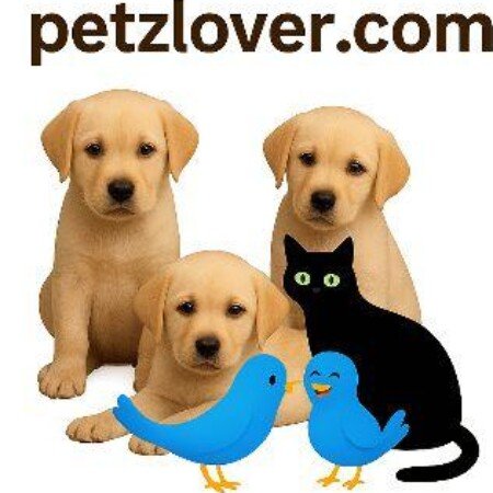 Profile picture of jananidevi